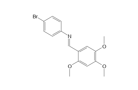 p-BROMO-N-(2,4,5-TRIMETHOXYBENZYLIDENE)ANILINE