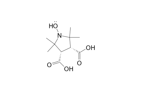 1-Pyrrolidinyloxy, 3,4-dicarboxy-2,2,5,5-tetramethyl-, cis-