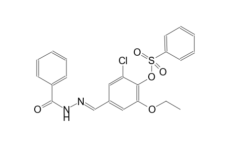 4-[(E)-(benzoylhydrazono)methyl]-2-chloro-6-ethoxyphenyl benzenesulfonate