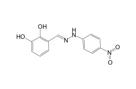 2,3-Dihydroxybenzaldehyde (4-nitrophenyl)hydrazone
