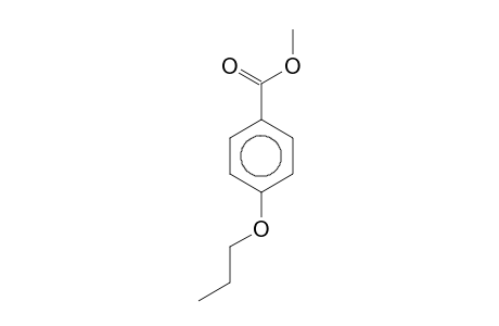 Benzoic acid,4-propyloxy, methyl ester