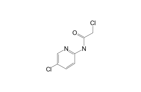 2-Chloro-N-(5-chloro-2-pyridinyl)acetamide