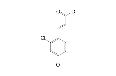 2-CHLORO-4-HYDROXYCINNAMIC-ACID