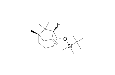 tert-Butyl-dimethyl-[[(1R,2R,6S)-6,9,9-trimethyl-8-methylene-2-bicyclo[4.2.1]nonanyl]oxy]silane