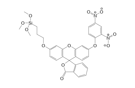 3'-(2,4-dinitrophenoxy)-6'-(3-trimethoxysilylpropoxy)spiro[isobenzofuran-3,9'-xanthene]-1-one