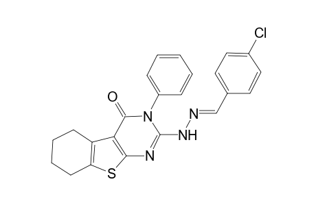 2-[N'-(4-chloro-benzylidene)-hydrazino]-3-phenyl-5,6,7,8-tetrahydro-3H-benzo[4,5]thieno[2,3-d]pyrimidin-4-one