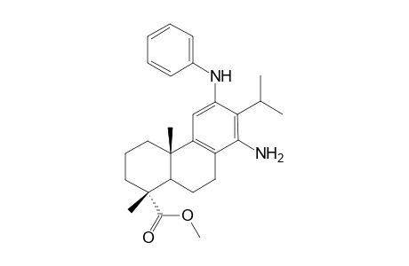Methyl 12-[phenylamino]-14-aminodehydroabietate