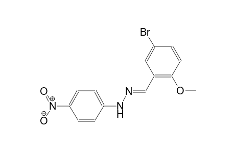 5-bromo-2-methoxybenzaldehyde (4-nitrophenyl)hydrazone