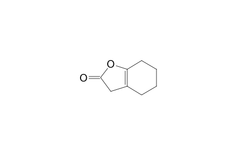 4,5,6,7-tetrahydro-3H-1-benzofuran-2-one