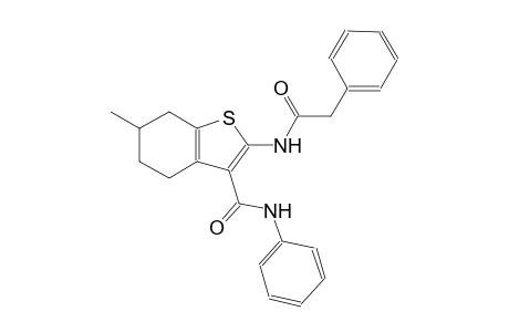 6-methyl-N-phenyl-2-[(phenylacetyl)amino]-4,5,6,7-tetrahydro-1-benzothiophene-3-carboxamide