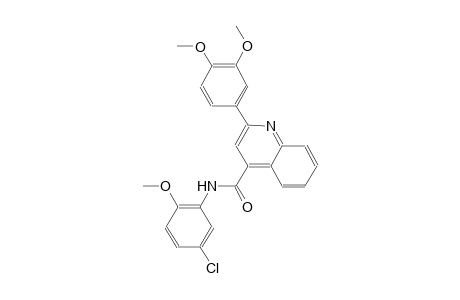 N-(5-chloro-2-methoxyphenyl)-2-(3,4-dimethoxyphenyl)-4-quinolinecarboxamide