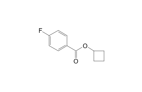 Cyclobutyl 4-fluorobenzoate