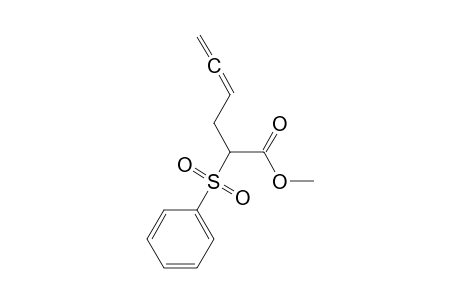 4,5-Hexadienoic acid, 2-(phenylsulfonyl)-, methyl ester