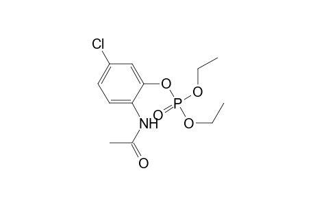 Phosphoric acid, 4-(acetylamino)-3-chlorophenyl diethyl ester