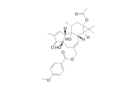 13-O-Acetyl-20-O-p-methoxybenzoyl-12-deoxyphorbol