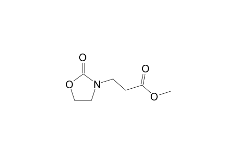3-(2'-Oxo-oxazolidin-3'-yl)-propionic acid methyl ester
