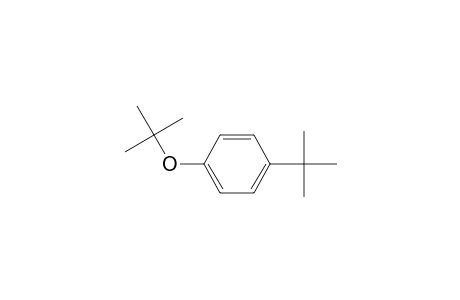 4-tert-Buyl-1-tert-butyloxybenzene