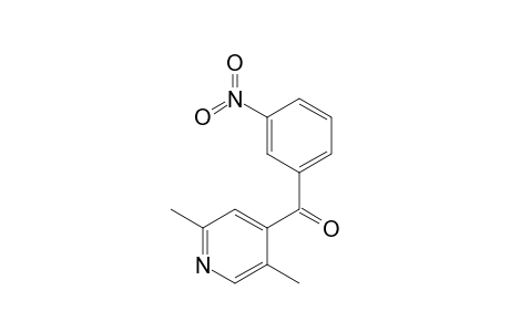 (2,5-dimethyl-4-pyridinyl)-(3-nitrophenyl)methanone