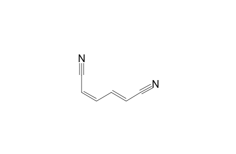 (2Z,4E)-hexa-2,4-dienedinitrile