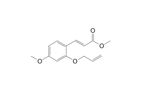 Methyl 2'-allyloxy-4'-methyloxycinnamate
