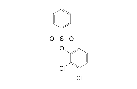 BENZENESULFONIC ACID, 2,3-DICHLOROPHENYL ESTER