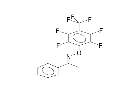 ACETOPHENONOXIME, O-PERFLUORO-PARA-TOLYL ETHER