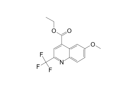 ETHYL-6-METHOXY-2-TRIFLUOROMETHYL-QUINOLINE-4-CARBOXYLATE