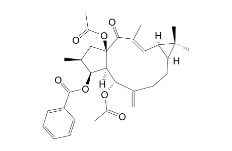 EFL3;EUPHORBIA-FACTOR-L3