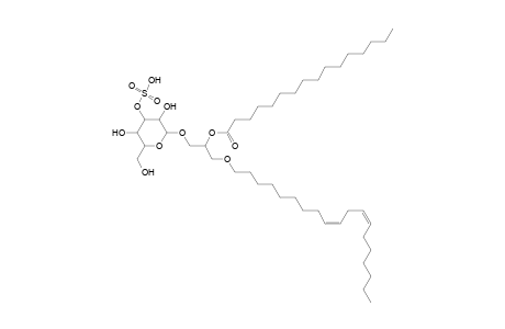 SMGDG O-19:2_16:0