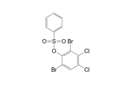 BENZENESULFONIC ACID, 2,6-DIBROMO-3,4-DICHLROPHENYL ESTER