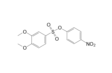 3,4-dimethoxybenzenesulfonic acid, p-nitrophenyl ester