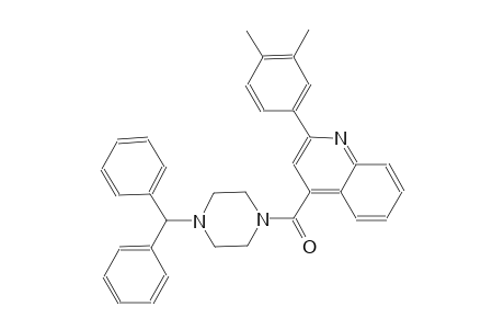 4-[(4-benzhydryl-1-piperazinyl)carbonyl]-2-(3,4-dimethylphenyl)quinoline