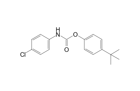 p-chlorocarbanilic acid, p-tert-butylphenyl ester