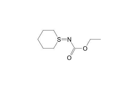 N-(thian-1-ylidene)carbamic acid ethyl ester