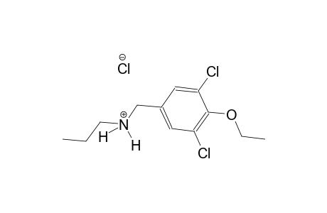 N-(3,5-dichloro-4-ethoxybenzyl)-1-propanaminium chloride