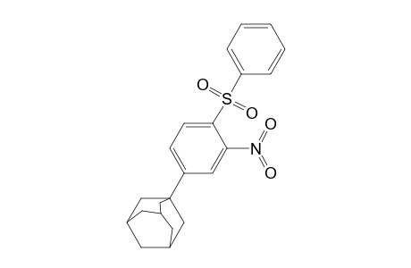 1-[3-nitro-4-(phenylsulfonyl)phenyl]adamantane