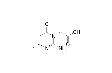 (2-Amino-4-methyl-6-oxo-6H-pyrimidin-1-yl)acetic acid