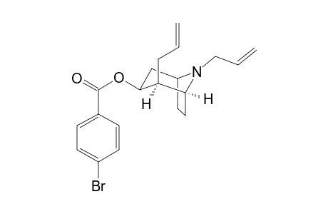 2,8-Diallyl-8-azabicyclo[3.2.1]octan-3-yl 4-bromobenzoate