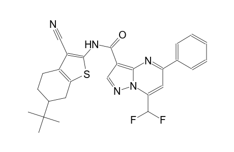 N-(6-tert-butyl-3-cyano-4,5,6,7-tetrahydro-1-benzothien-2-yl)-7-(difluoromethyl)-5-phenylpyrazolo[1,5-a]pyrimidine-3-carboxamide
