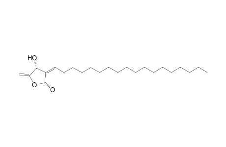 (3R,2E)-2-Octadecanylidene-3-hydroxy-4-methylenebutanolide