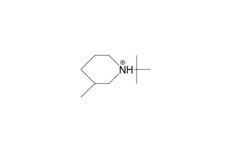cis-1-tert-Butyl-3-methyl-piperidinium cation