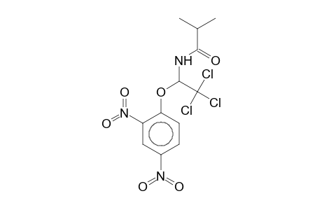 2-Methyl-N-[2,2,2-trichloro-1-(2,4-dinitrophenoxy)ethyl]propanamide