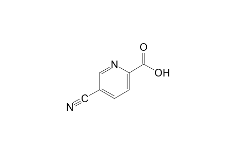 5-cyanopicolinic acid