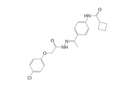 N-(4-{(1E)-N-[(4-chlorophenoxy)acetyl]ethanehydrazonoyl}phenyl)cyclobutanecarboxamide
