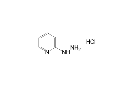 2-hydrazinopyridine, hydrochloride