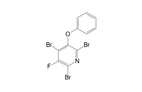 2,4,6-Tribromo-3-fluoro-5-phenoxypyridine