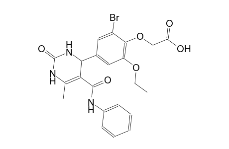 {4-[5-(anilinocarbonyl)-6-methyl-2-oxo-1,2,3,4-tetrahydro-4-pyrimidinyl]-2-bromo-6-ethoxyphenoxy}acetic acid