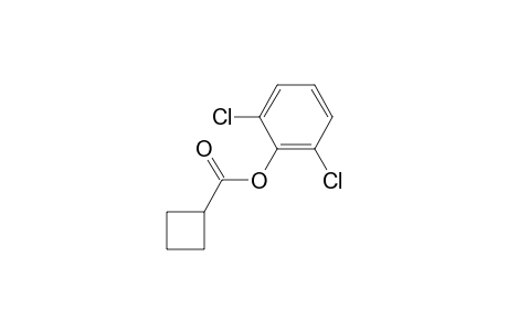 Cyclobutanecarboxylic acid, 2,6-dichlorophenyl ester