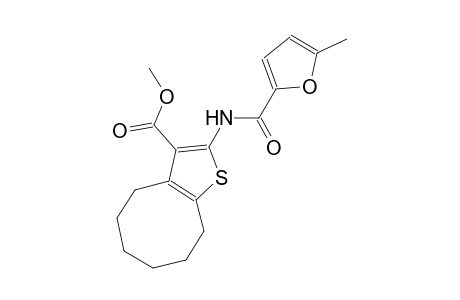 methyl 2-[(5-methyl-2-furoyl)amino]-4,5,6,7,8,9-hexahydrocycloocta[b]thiophene-3-carboxylate