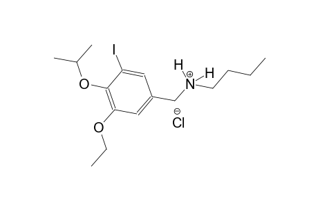 N-(3-ethoxy-5-iodo-4-isopropoxybenzyl)-1-butanaminium chloride